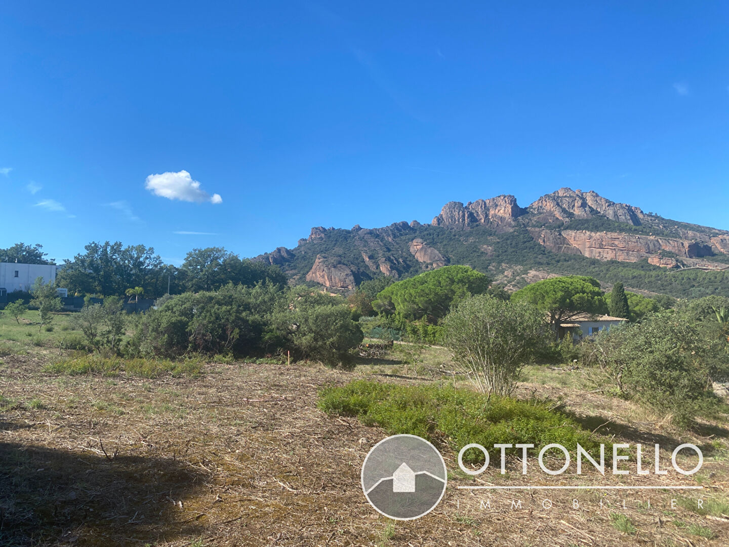 Terrain - ROQUEBRUNE SUR ARGENS